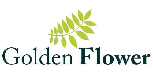 Logo Golden Flower